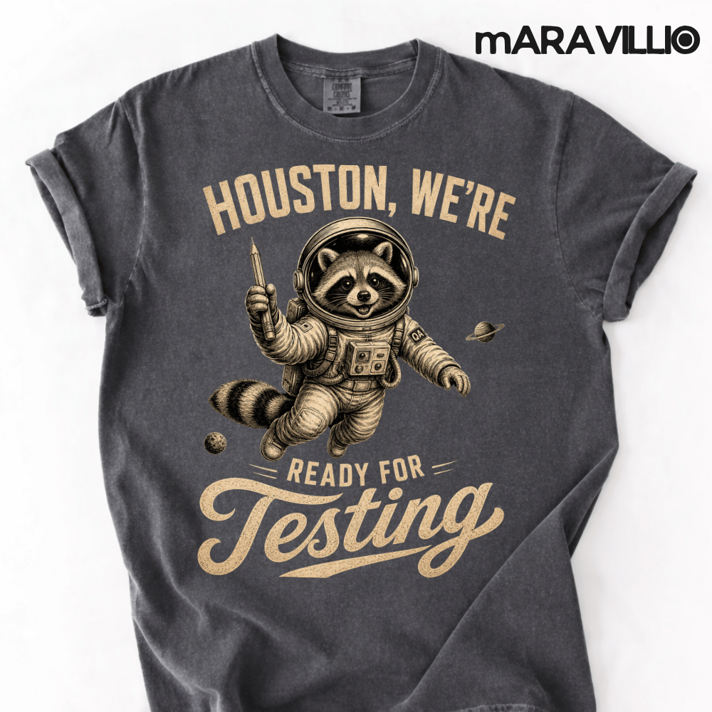 Houston We’re Ready For Testing PNG: Funny Raccoon Astronaut Teacher Testing Day png State Exam Humor Classroom (Digital Download)