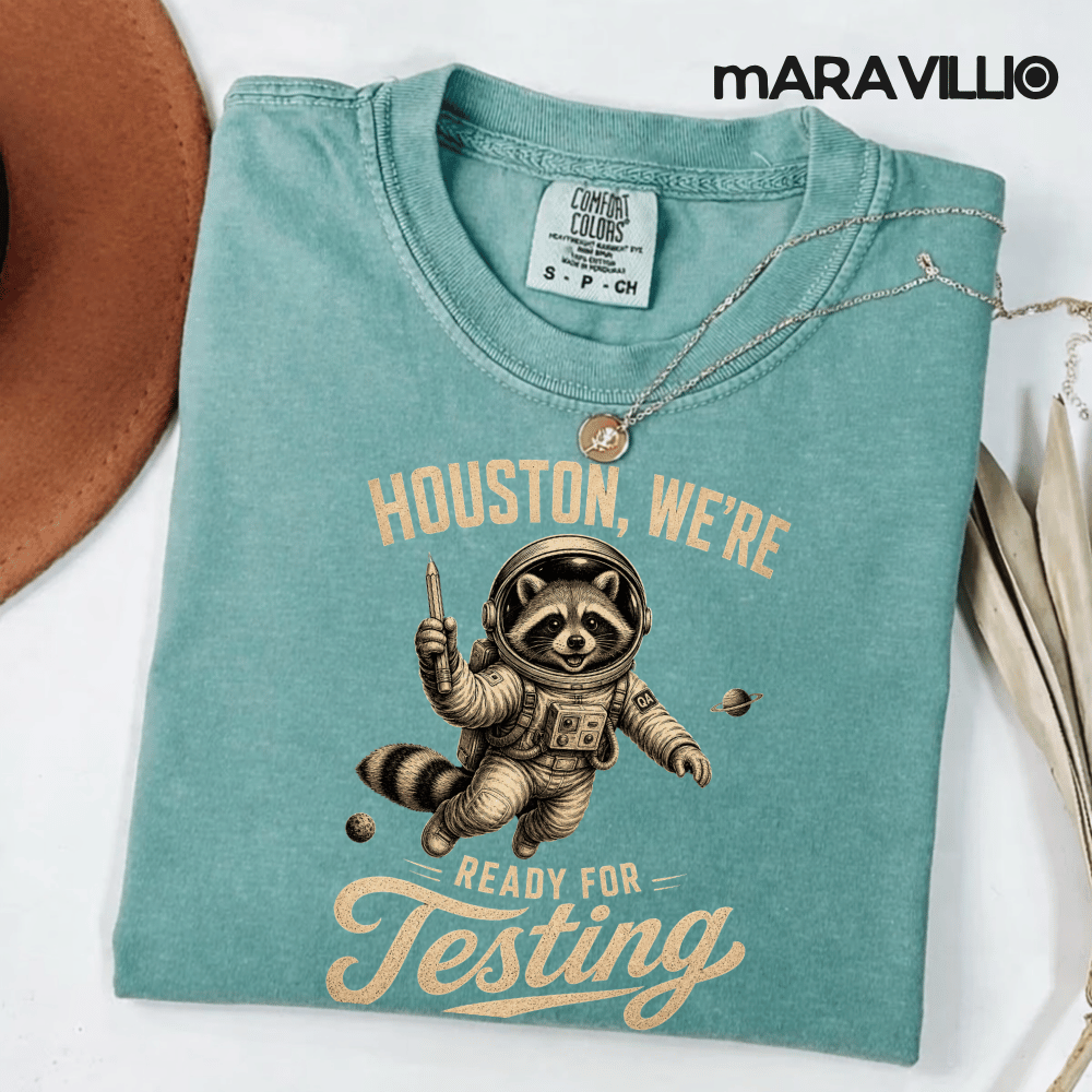 Houston We’re Ready For Testing PNG: Funny Raccoon Astronaut Teacher Testing Day png State Exam Humor Classroom (Digital Download)